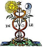 Organotherapy-Nosode-Psorinum